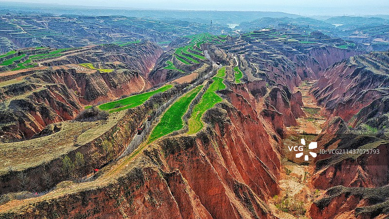 黄土高坡上的春天图片素材