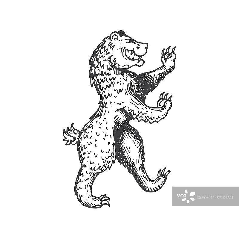 中世纪纹章熊动物素描符号图片素材