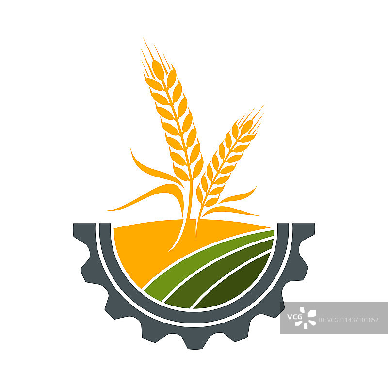 农业图标：麦田或农场黑麦穗图片素材