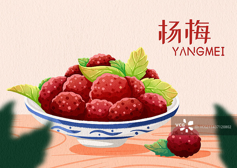 杨梅图片素材