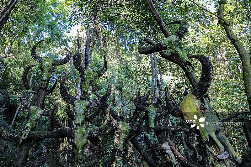 普洱西盟龙摩爷圣地图片素材