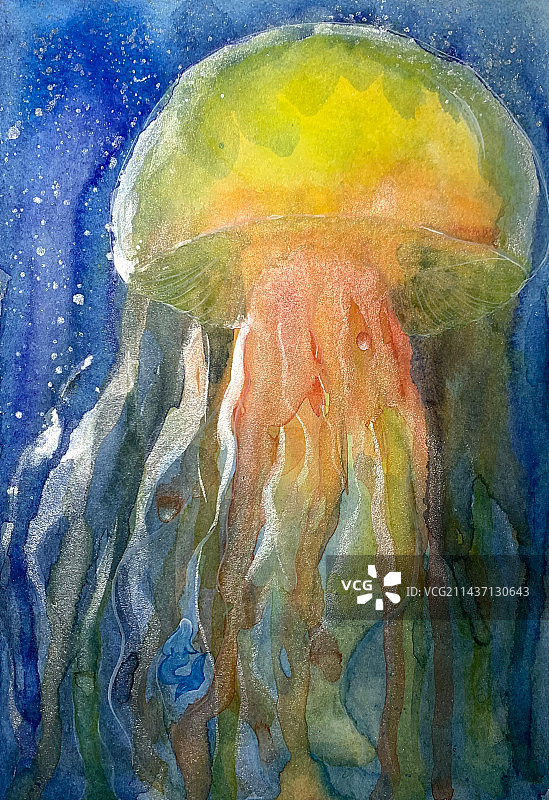 夏天水母彩色深蓝金色泛光温馨手绘插画图片素材