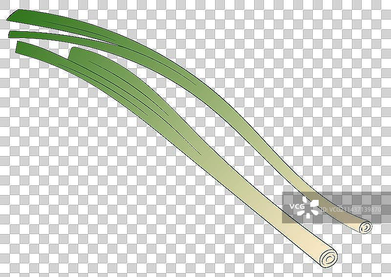 淄博卷饼-大葱图片素材