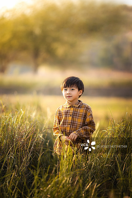 夕阳下站在草丛中的小男孩图片素材