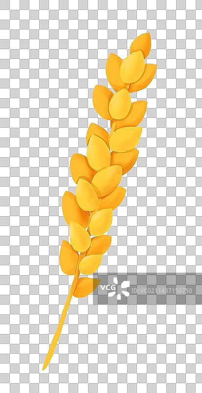 芒种节气插画成熟的麦穗图片素材