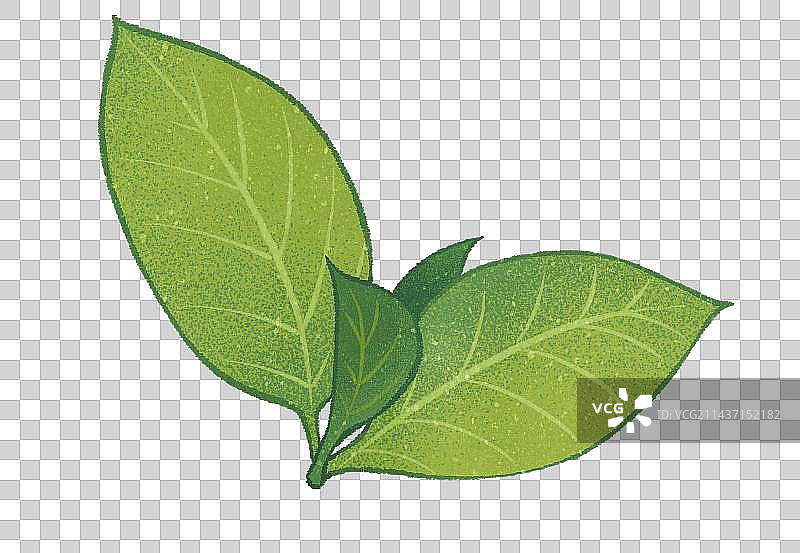 中国传统茶文化元素插画图片素材