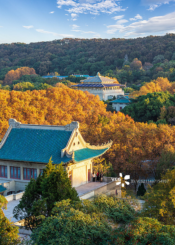 俯瞰武汉大学秋色图片素材
