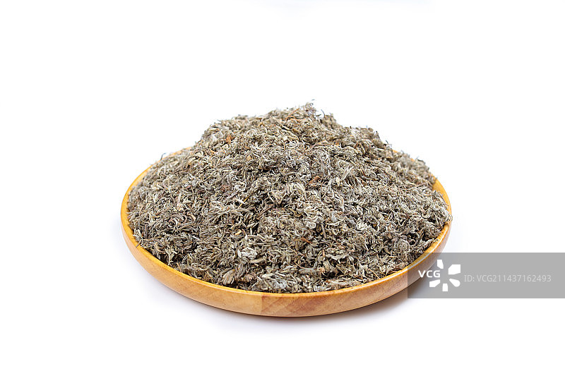 药用植物中医药材茵陈图片素材