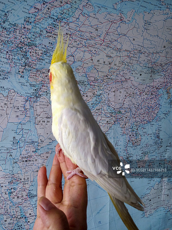 我想去看看图片素材