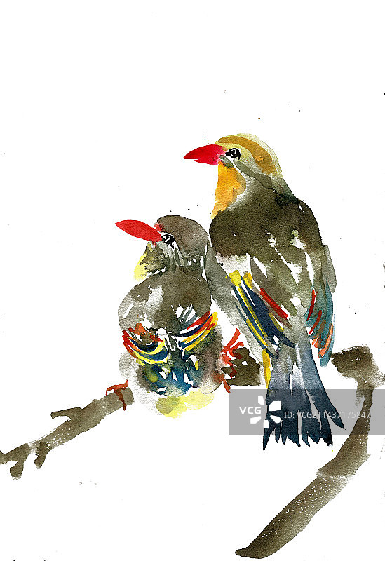 依偎的小鸟图片素材