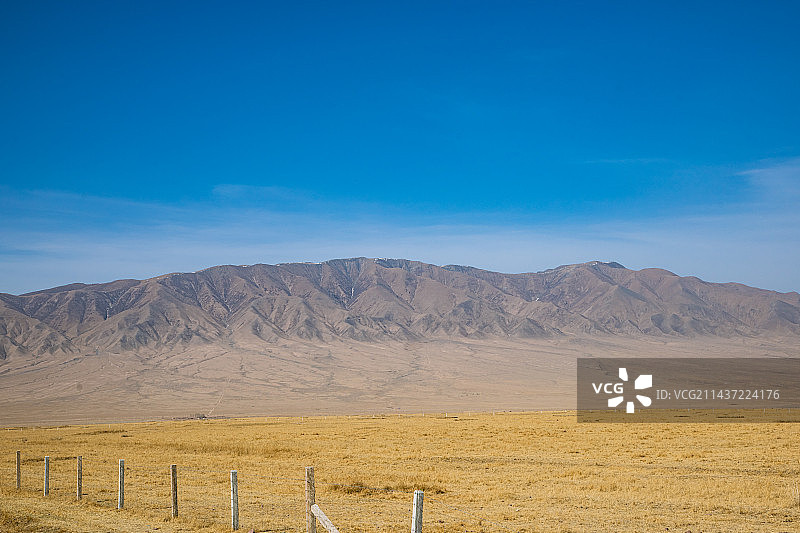 甘肃省张掖市山丹县山丹军马场-蓝天下的公路和田野图片素材