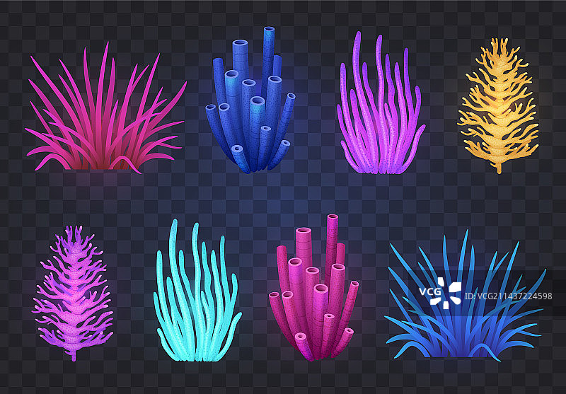 珊瑚礁组合图片素材