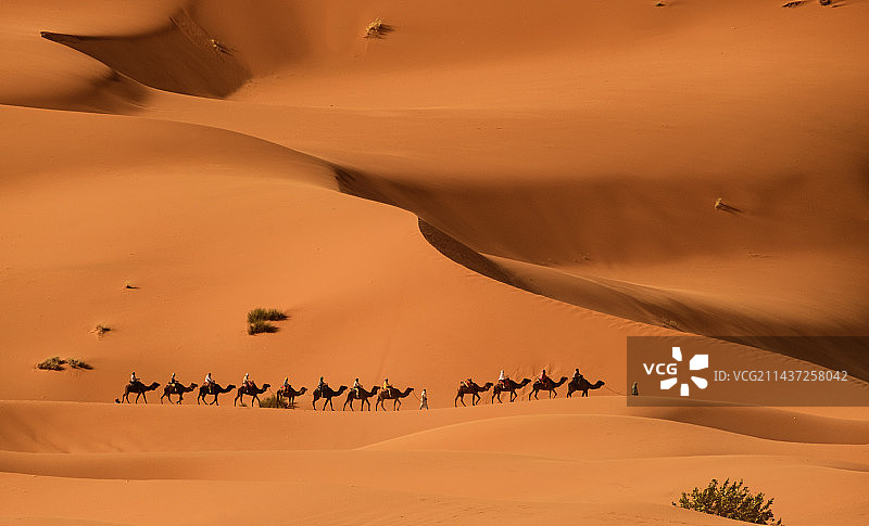 摩洛哥丨梅尔祖卡-撒哈拉图片素材