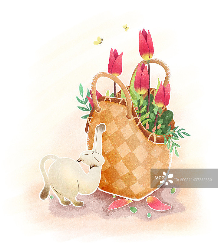 猫咪郁金香花篮图片素材