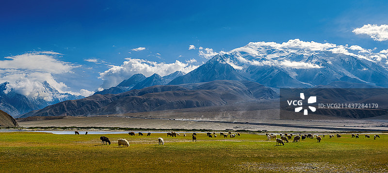 布伦口的羊群及公格尔峰图片素材