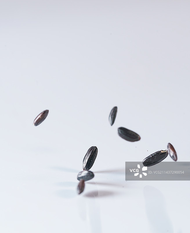 黑米掉落白色背景高速创意摄影图片素材