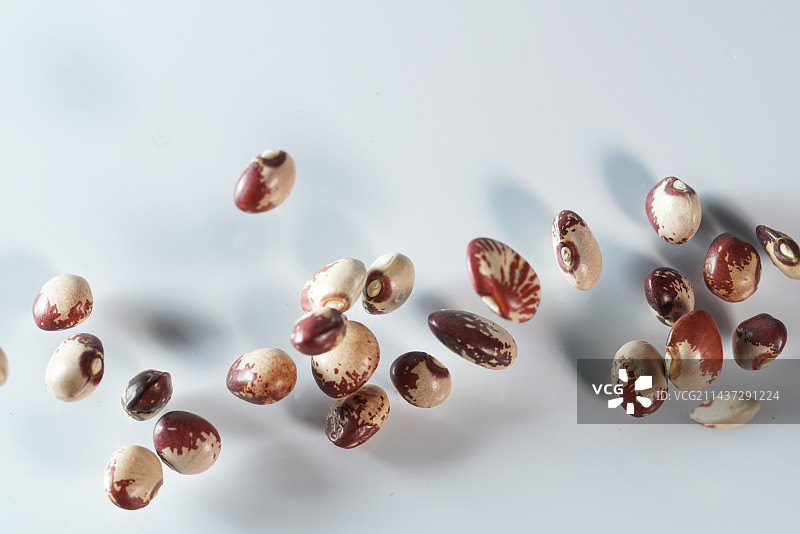 花腰豆掉落白色背景高速创意摄影图片素材