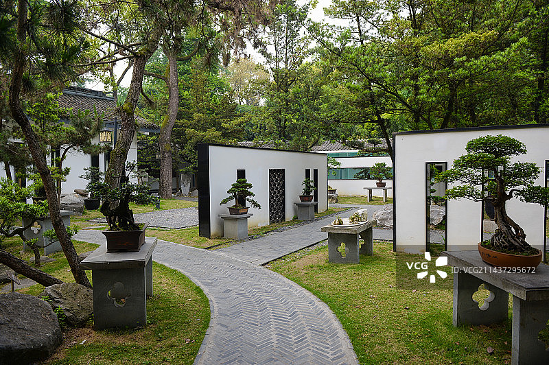 公园川派盆景图片素材