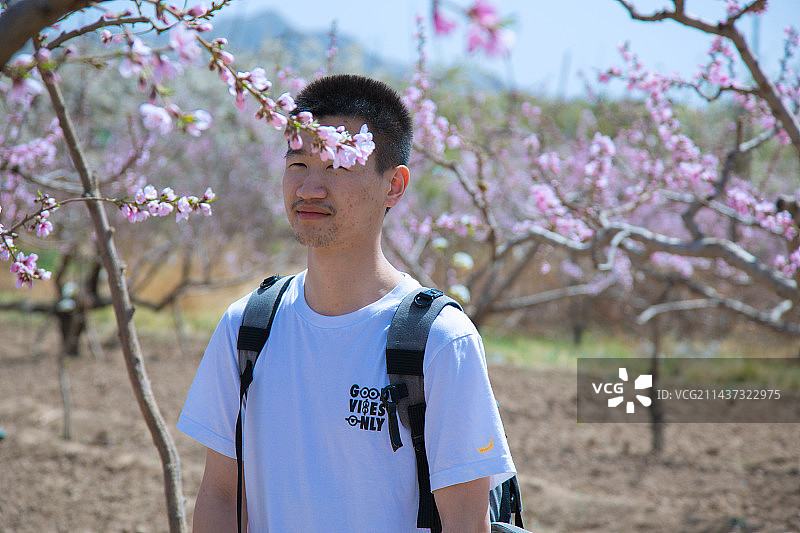 甘肃省兰州市皋兰县什川古梨园-坐在梨园的年轻人图片素材