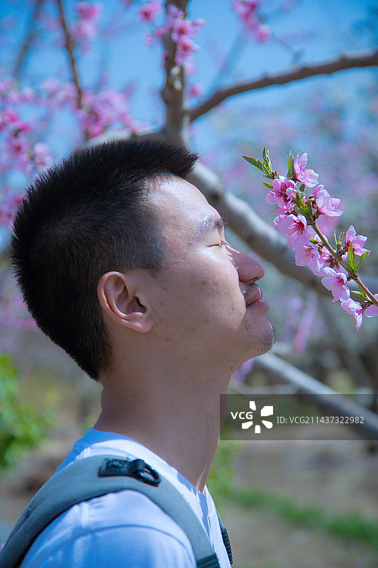 甘肃省兰州市皋兰县什川古梨园-坐在梨园的年轻人图片素材