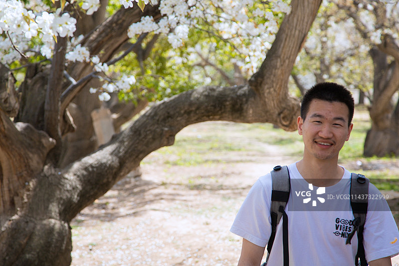 甘肃省兰州市皋兰县什川古梨园-坐在梨园的年轻人图片素材