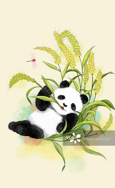 中国风成都大熊猫系列 -躺在麦田里吃麦穗的熊猫 二十四节气插画 台历插画图片素材