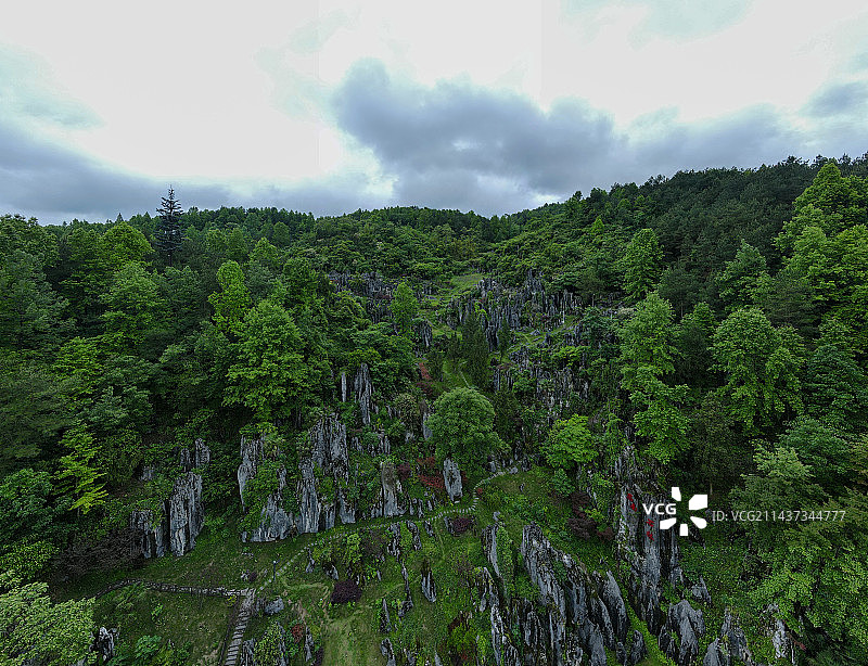 思南石林图片素材