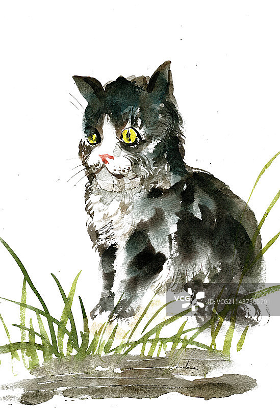 黑色的小猫图片素材