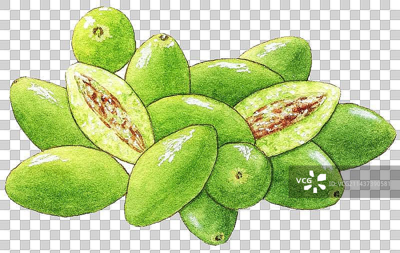 手绘新鲜水果系列橄榄口味小清新免抠素材图片素材