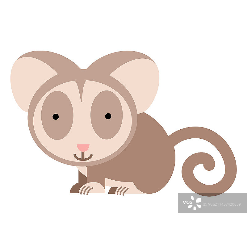 丛林婴猴加拉戈图片素材