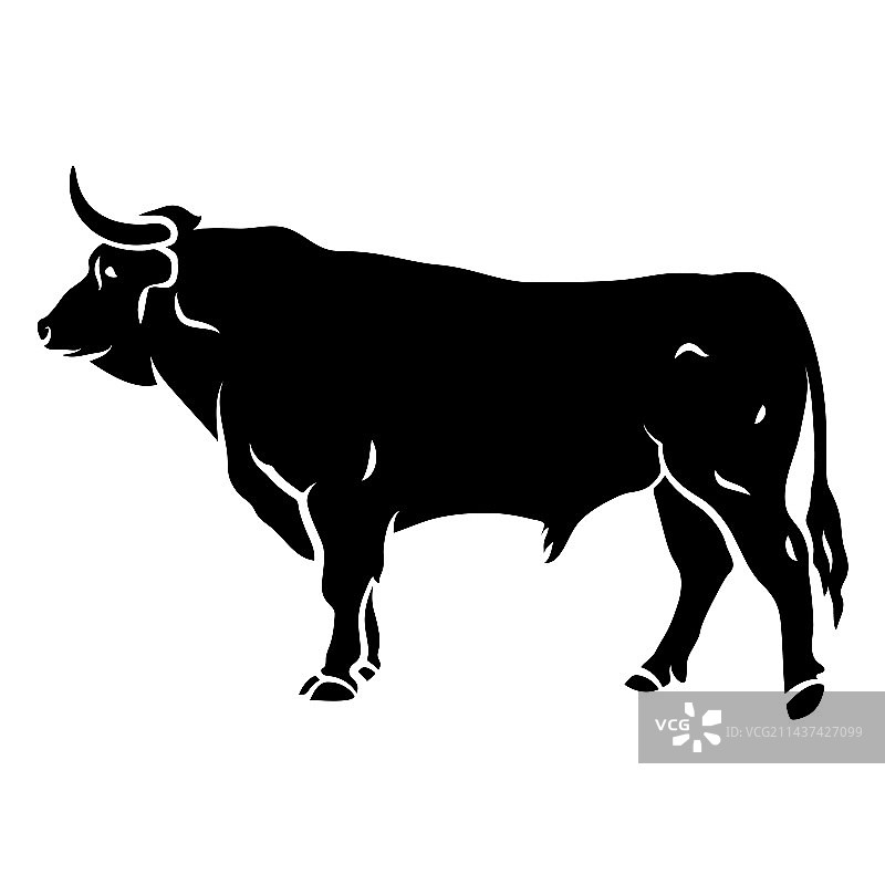公牛轮廓剪影图片素材