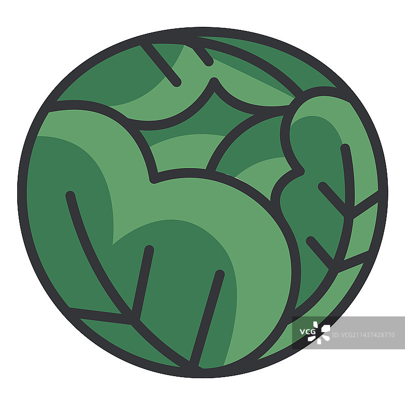 卷心菜彩色图标图片素材