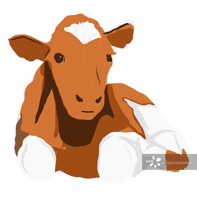 躺卧的棕色奶牛图片素材