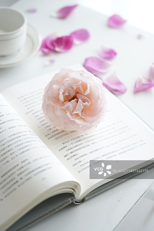 静物摄影｜春天的书与花图片素材