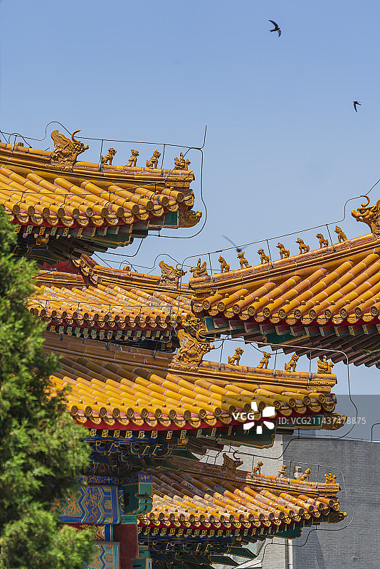 历代帝王庙 动与静图片素材