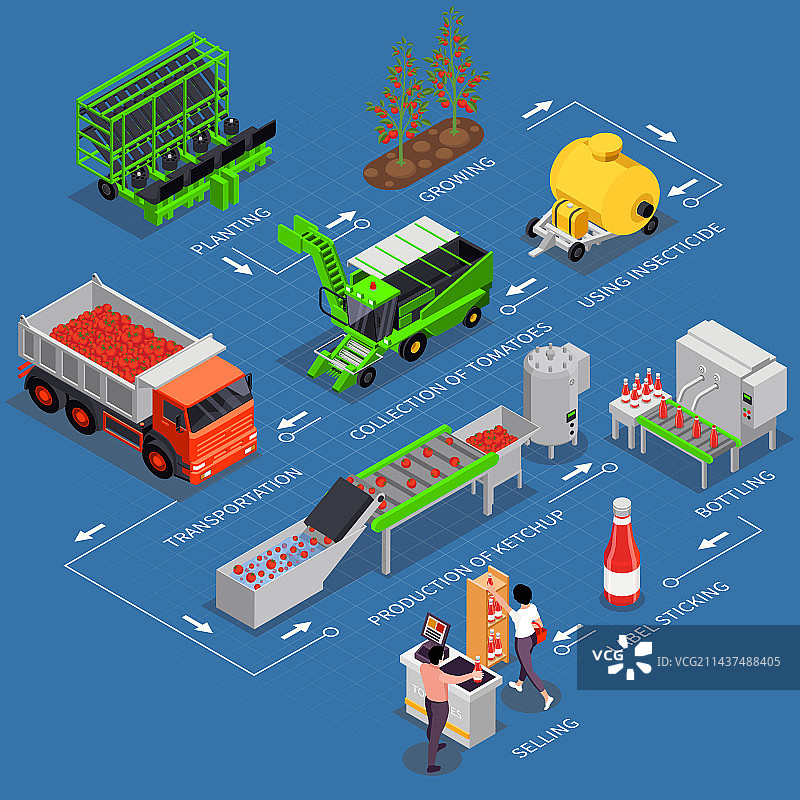 西红柿生产流程图信息图图片素材