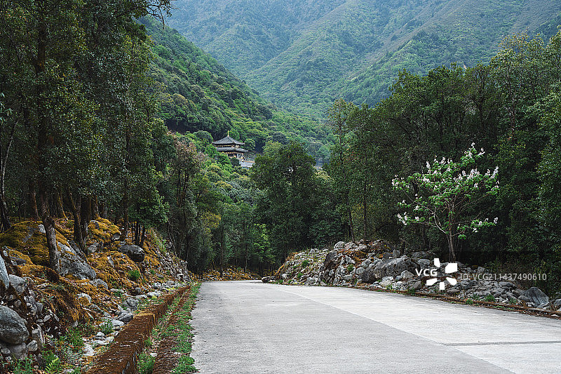 通往冕宁灵山寺的森林公路图片素材