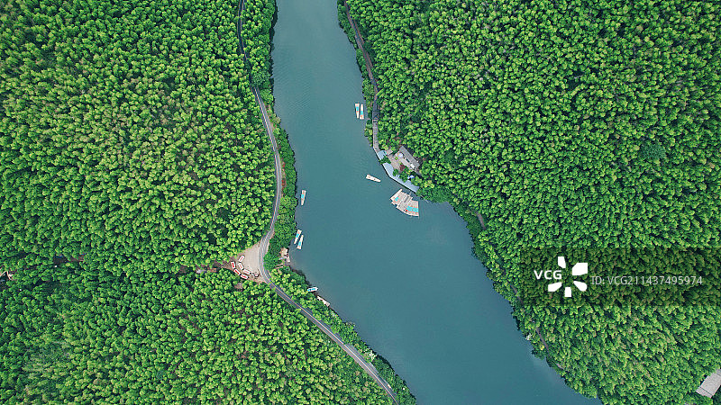 溧阳天目湖南山竹海静湖竹筏图片素材