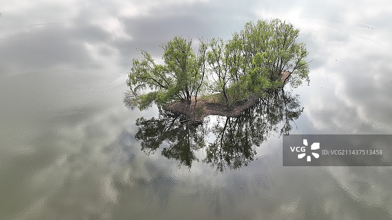 北京昌平新城滨河森林公园春天水中树航拍图片素材