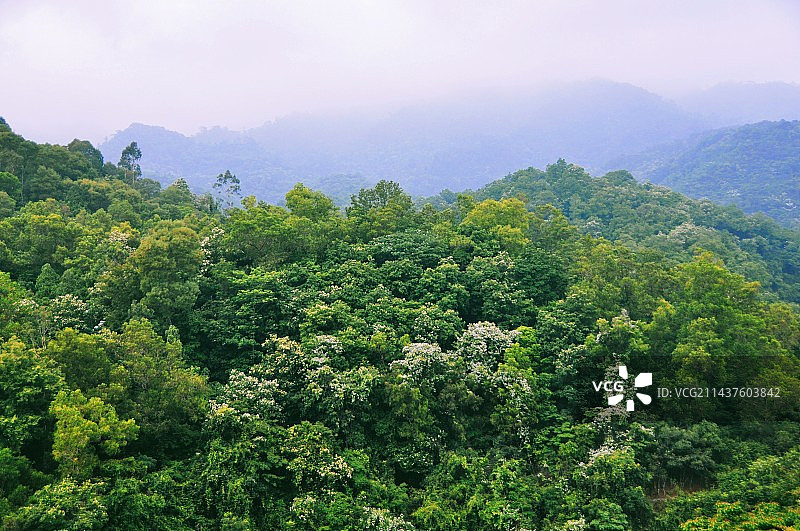 山花烂漫图片素材