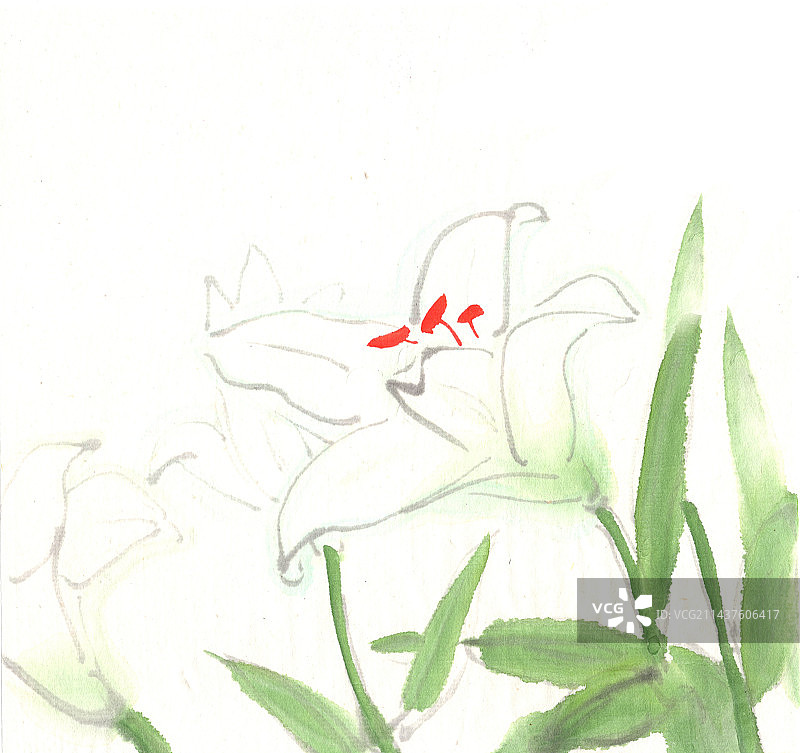 百合花繁花似锦夏天水墨系列插画图片素材
