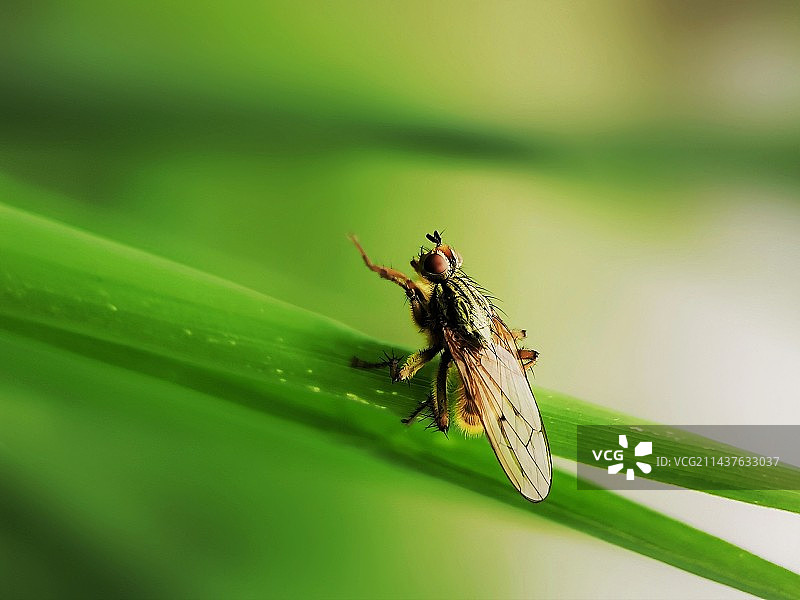 等等我图片素材