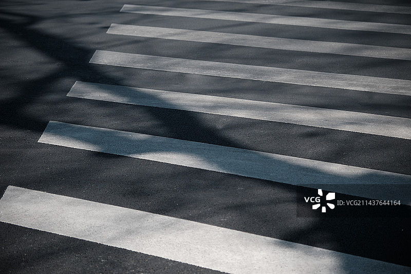 树影马路斑马线背景壁纸图片素材