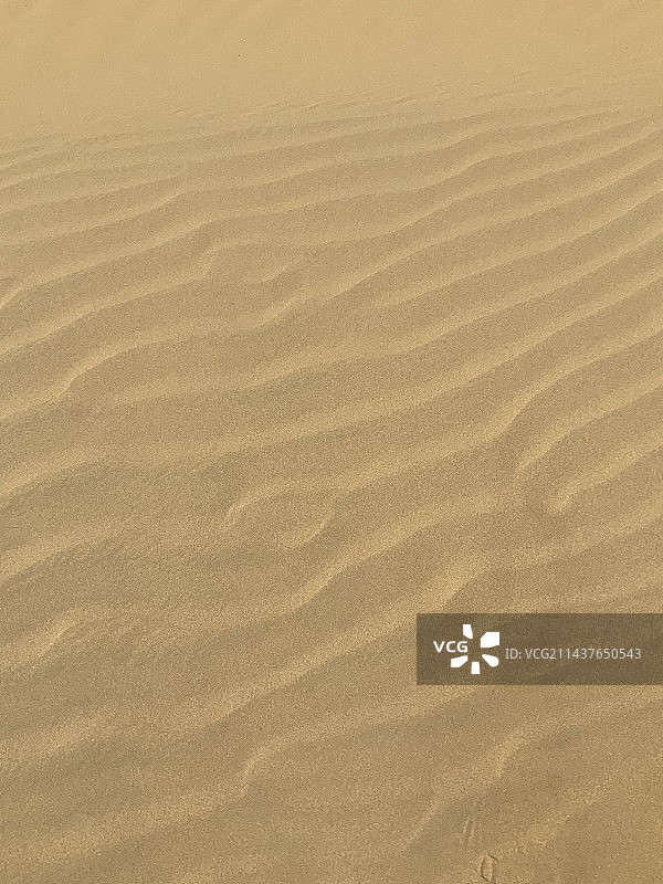 鄂尔多斯响沙湾景区图片素材