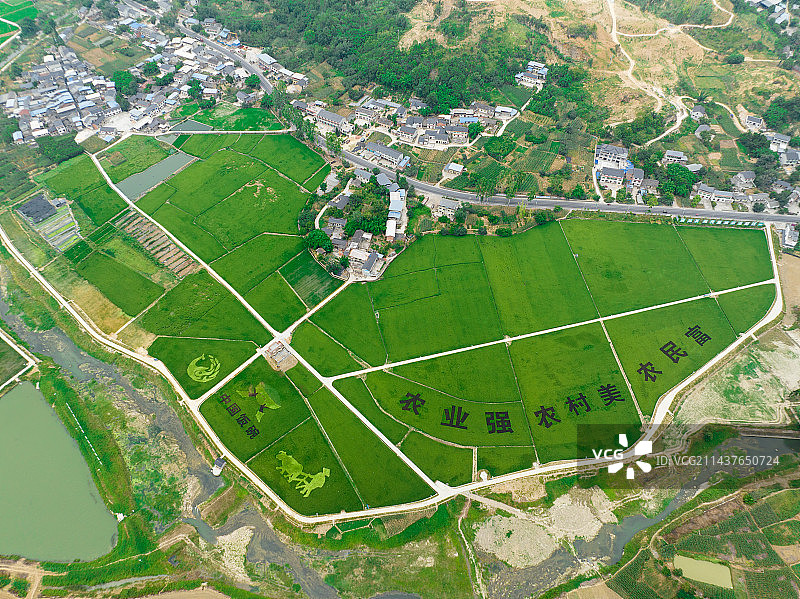 四川内江乡村振兴图片素材