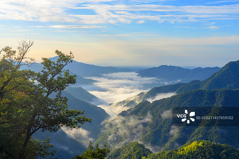 春天的南太行王屋山，森林披上绿装，植被茂盛，绿树、蓝天、白云，风景如画图片素材