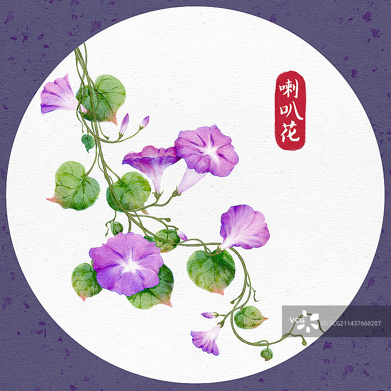 水彩植物——喇叭花图片素材