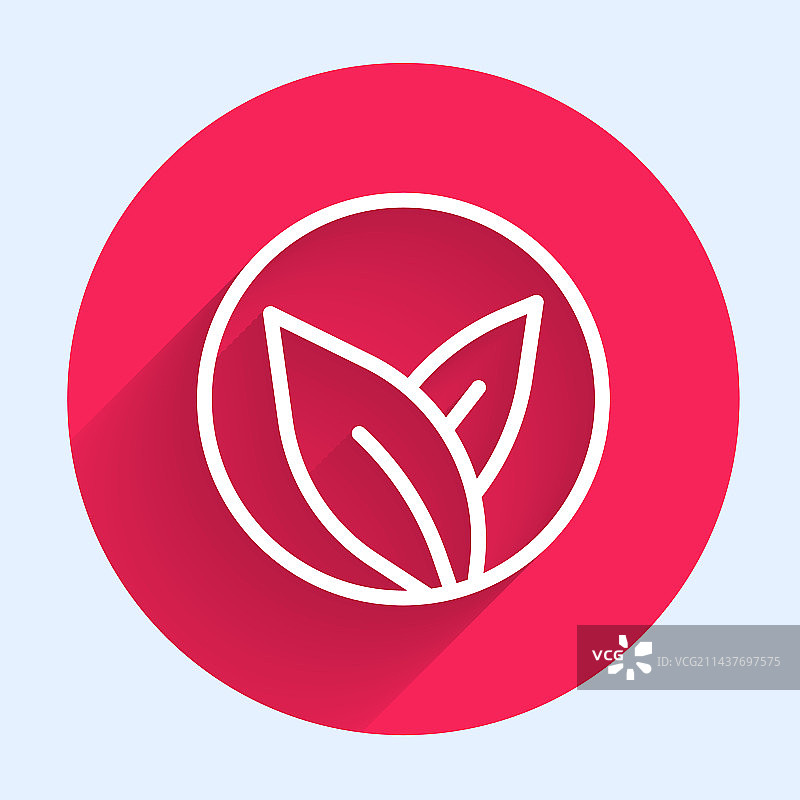 白色线条茶叶图标，长阴影图片素材