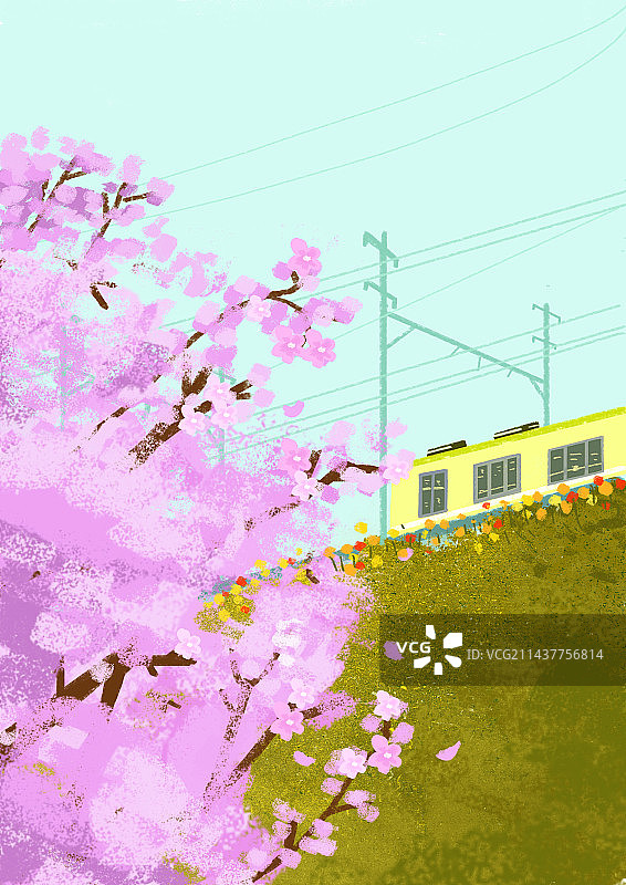 列车驶过美丽的樱花树|扁平插画图片素材