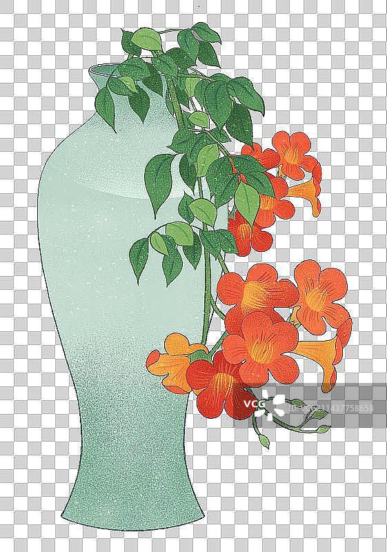 二十四节气系列夏天小暑植物花卉凌霄花图片素材